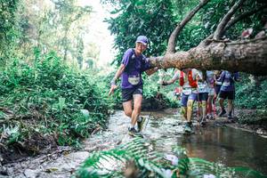 BIB: 
                            <button type="button" onclick="openModal(25451467)" class="btn btn-primary btn-sm float-right btn-popup" data-toggle="modal" data-target=".modal-high-quality">
                        <i class="fas fa-shopping-cart"></i> Add to Cart
                    </button>
                                            <button type="button" onclick="isThisMe(25451467, true)" class="btn btn-success btn-sm float-right btn-popup btn-isme hidden" data-toggle="tooltip" data-placement="bottom" title="นี่คือรูปของคุณใช่ไหม คลิกที่นี่เพื่อเอาเข้าอัลบั้ม">
                        <i class="fas fa-plus"></i> Add to album
                    </button>
                    <button type="button" onclick="isThisMe(25451467, false)" class="btn btn-warning btn-sm float-right btn-popup btn-isnotme hidden">
                        <i class="fas fa-ban"></i> Remove from album
                    </button>